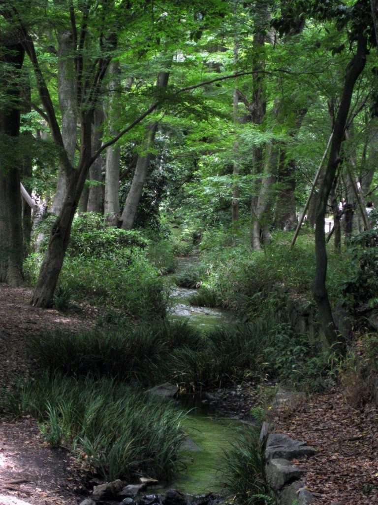 賀茂御祖神社(京都市)