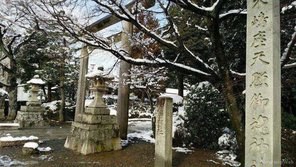 蚕ノ社駅(京福電気鉄道)