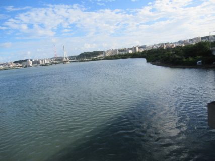 そうですか、漫湖は湖ではなく干潟でしたか。