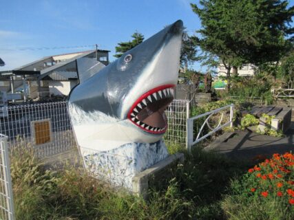 鮫駅のサメ。