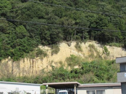 徳島自動車道の阿波PAで、阿波の土柱を一部だけ見ました。