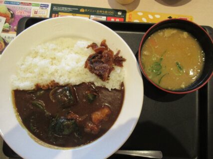 枇杷島で遅めのランチ、松のやマイカリー食堂。
