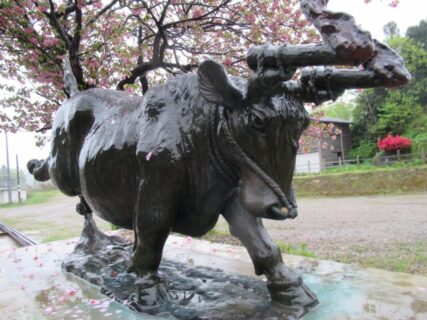 倶利伽羅駅の、源平倶利伽羅合戦火牛の像でございます。