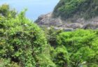 丹後天橋立大江山国定公園、蒲入展望所からの眺めでございます。