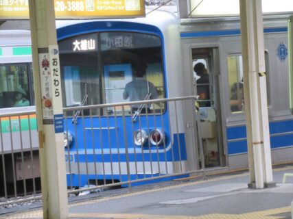 伊豆箱根鉄道大雄山線は、小田原駅と南足柄市の大雄山駅とを結ぶ。
