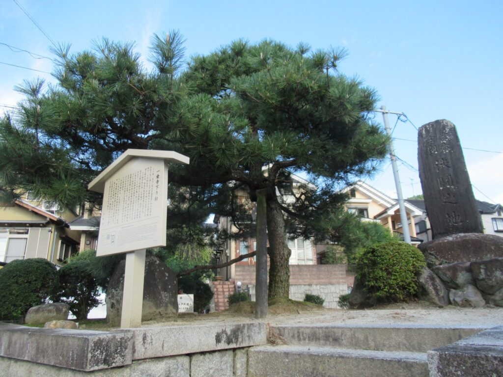 一乗寺下り松とは、京都市左京区一乗寺花ノ木町にある松の木。