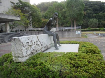 東山公園どらドラパーク米子市民体育館前の、あすなろ。
