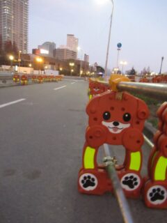中之島の大阪市中央公会堂前で遭遇した、赤犬串w