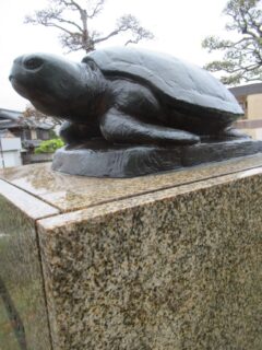 牟岐線の日和佐駅前広場にある、ウミガメの像でございます。