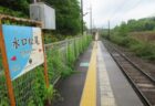 近江鉄道本線の朝日大塚駅ホーム向いに居た、宇宙人モドキ。