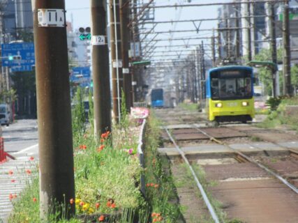 妙国寺前停留場は、堺市堺区にある、阪堺電気軌道阪堺線の停留場。
