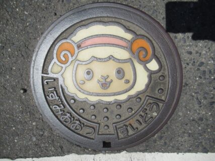南海線の北助松駅周辺で見掛けました、泉大津市のフタwの数々っす。