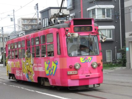 幌南小学校前停留場は、札幌市中央区にある、札幌市電山鼻線の停留場。