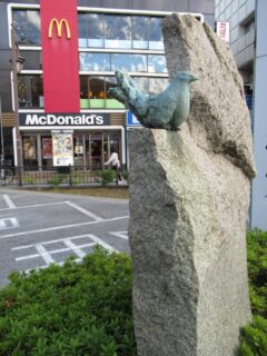 浦安駅前の小さなロータリーに居たハトなんですがね。