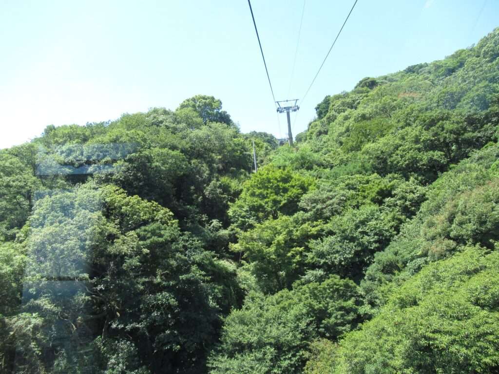 眉山ロープウエイ(徳島市)