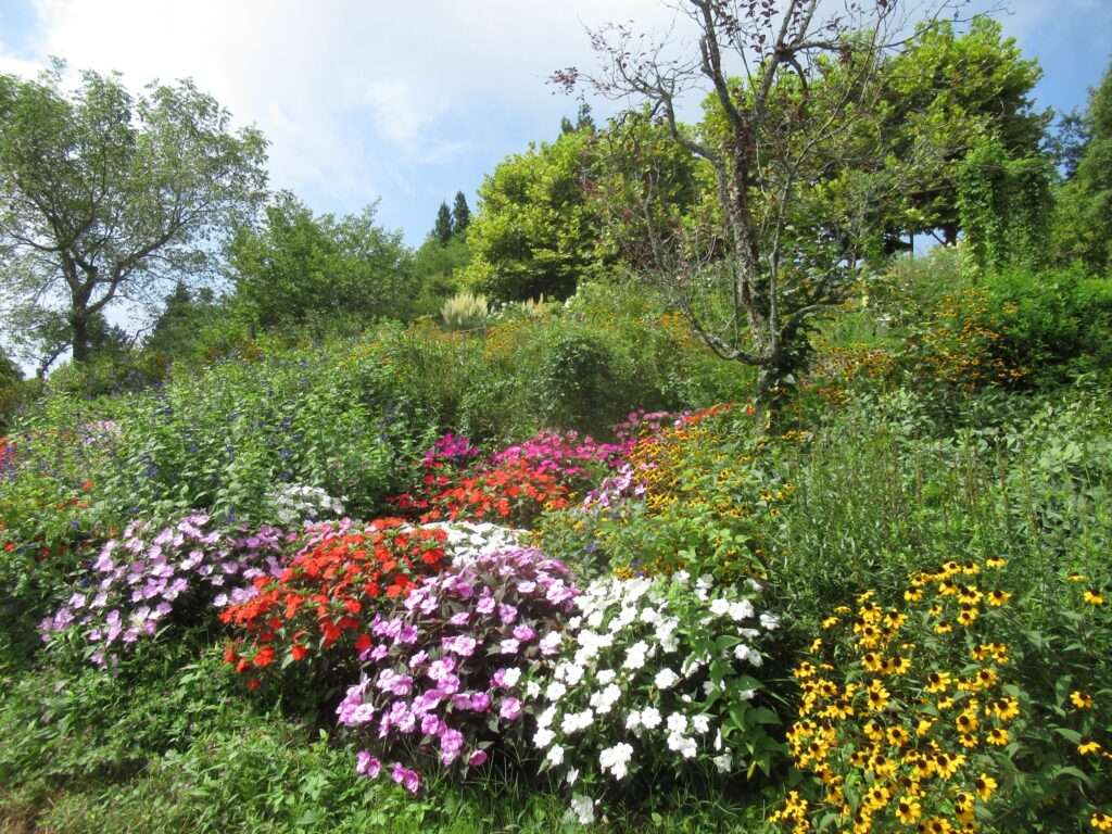 ガーデンミュージアム比叡(京都市)