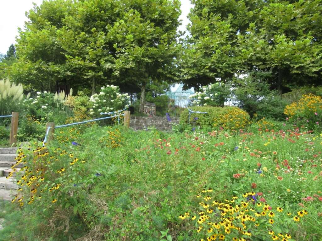 ガーデンミュージアム比叡(京都市)