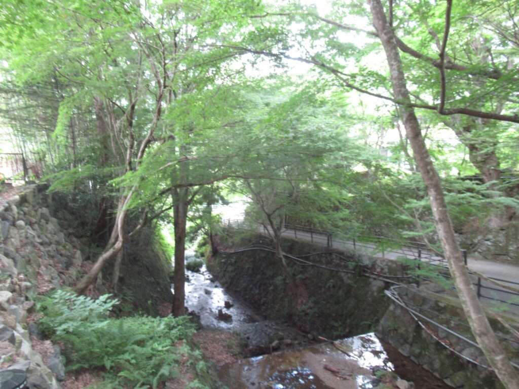 三千院参道(京都市)