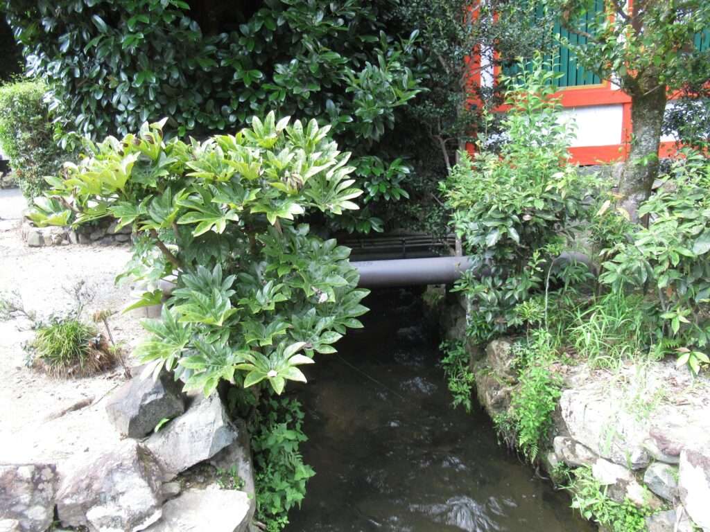 上賀茂神社(京都市)
