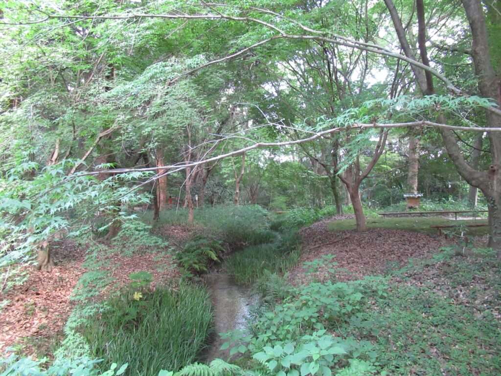 糺の森(京都市)