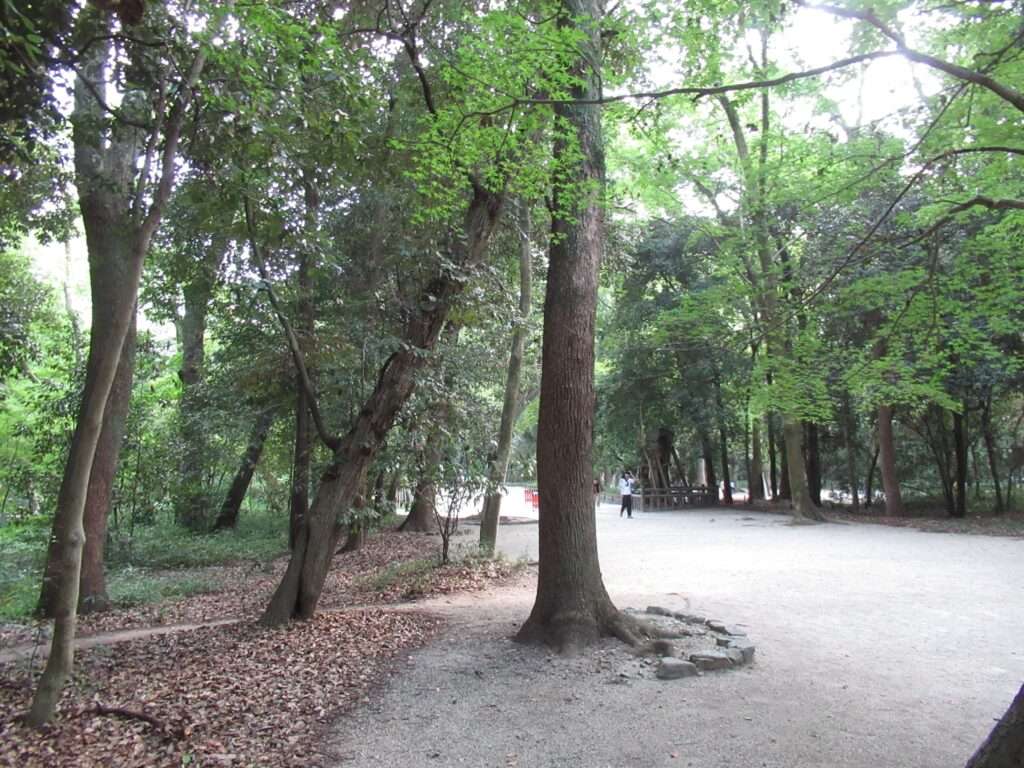 糺の森(京都市)