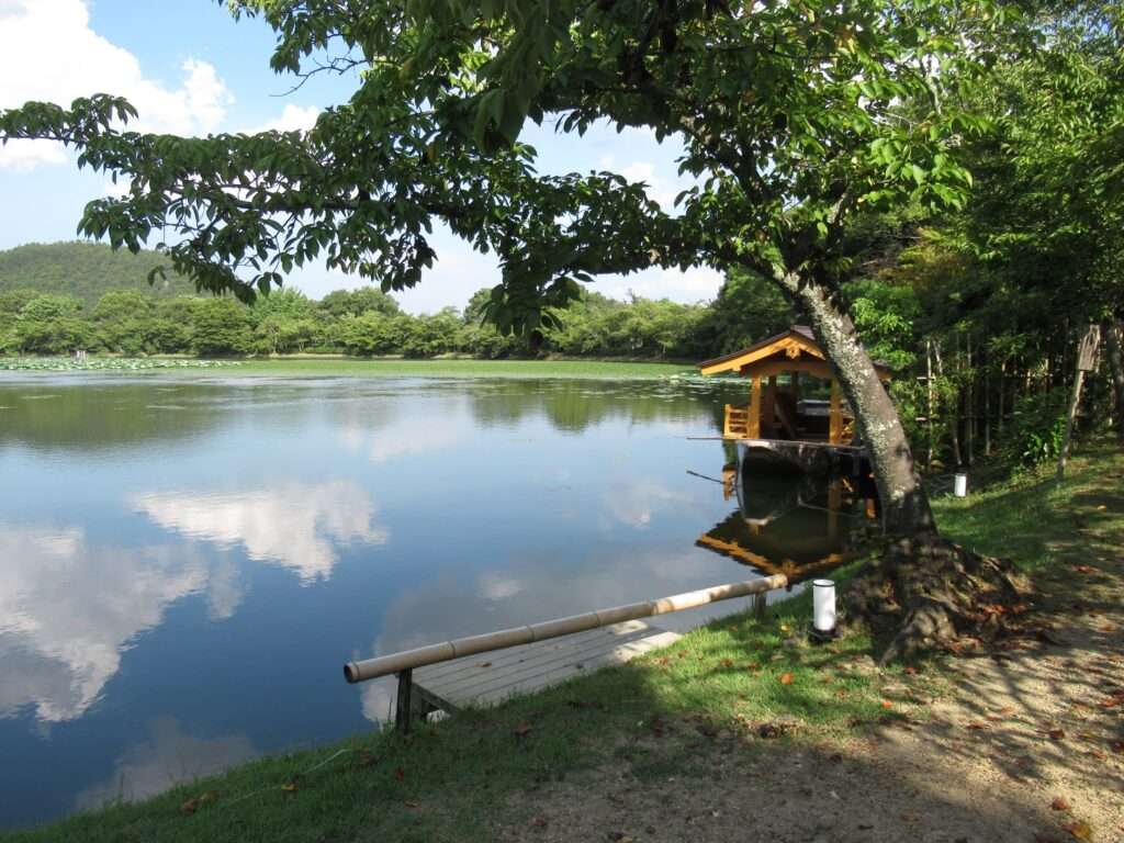 大沢池@大覚寺