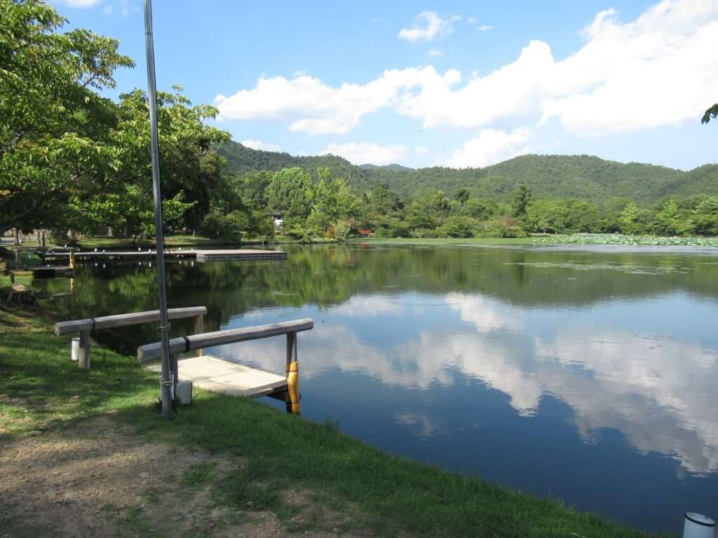 大沢池@大覚寺