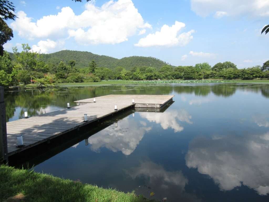 大沢池@大覚寺