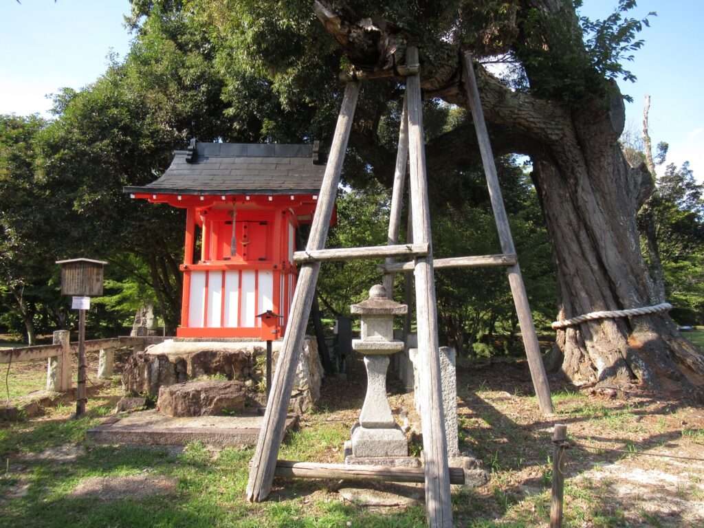 天神社@大沢池