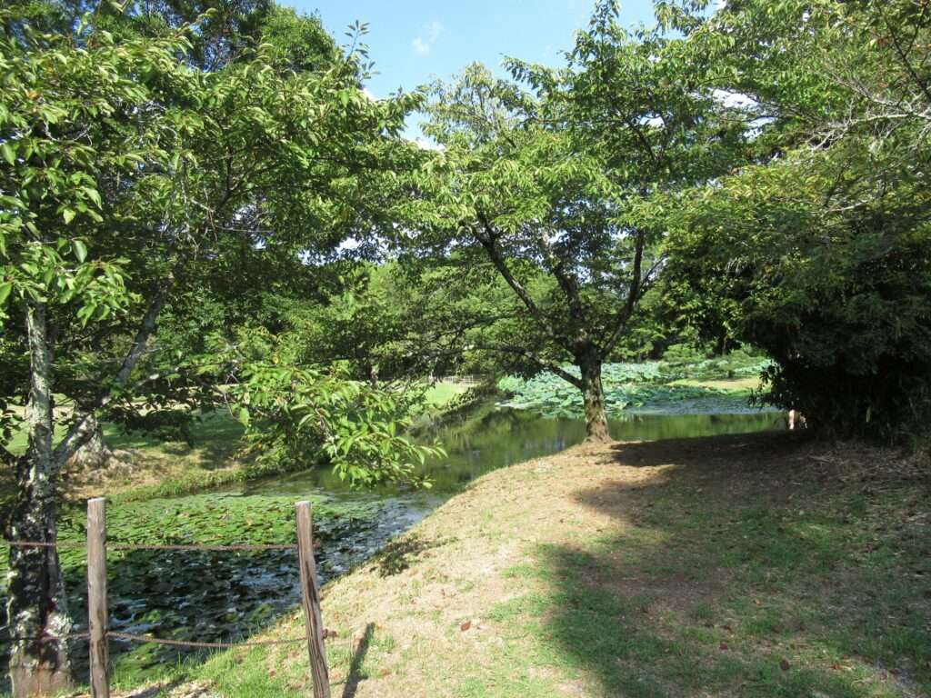 名古曽橋@大沢池