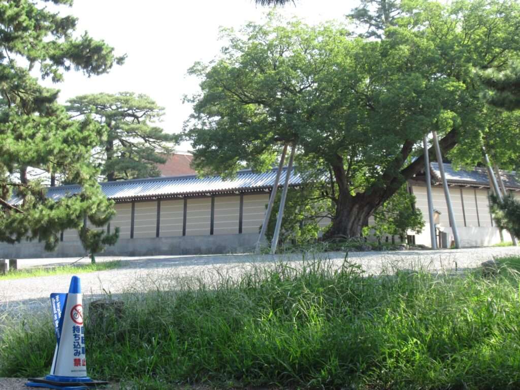 京都御苑(京都市)