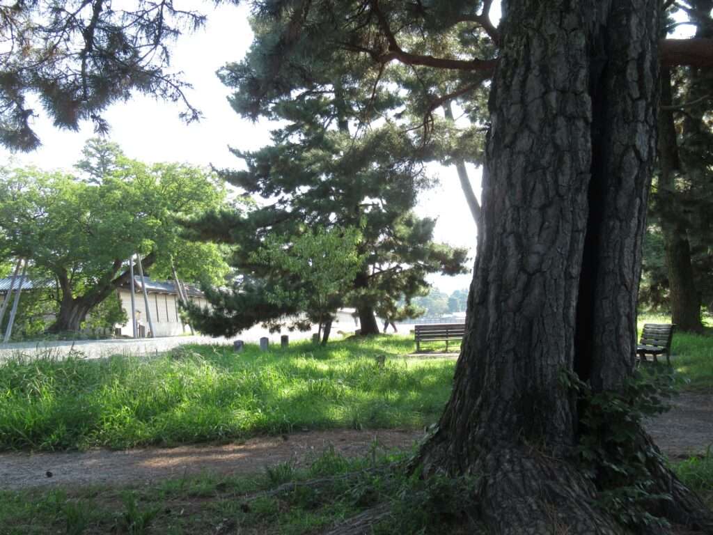 京都御苑(京都市)