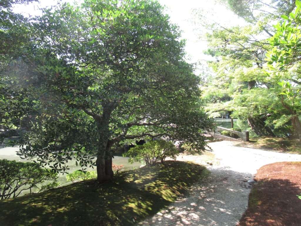 御池庭@京都御所