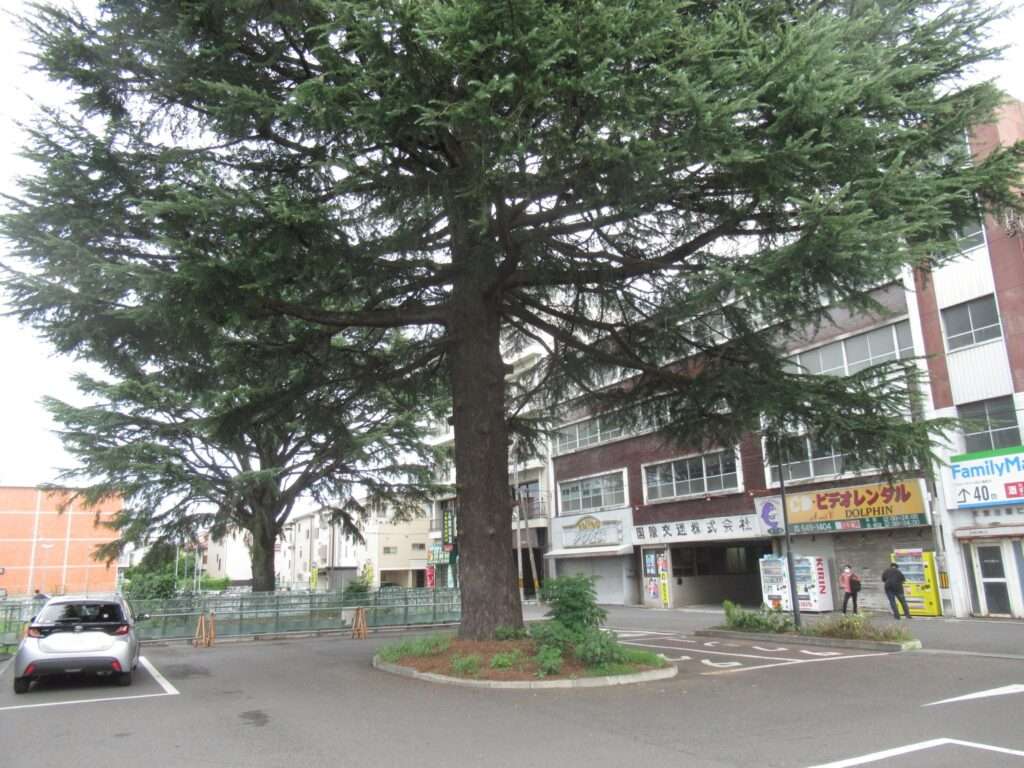 大宮公園駅(東武鉄道)