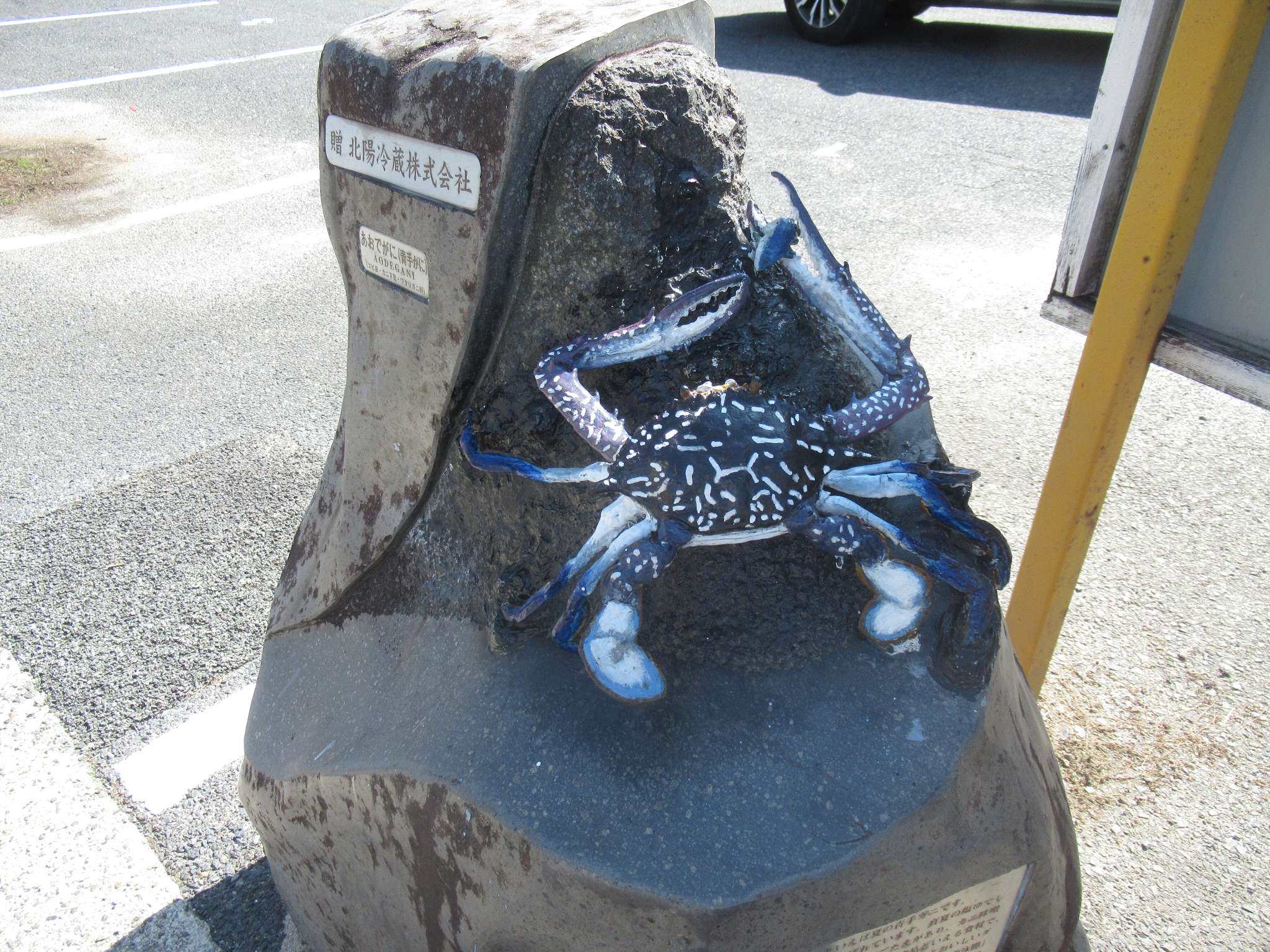 あおでがに@おさかなロード