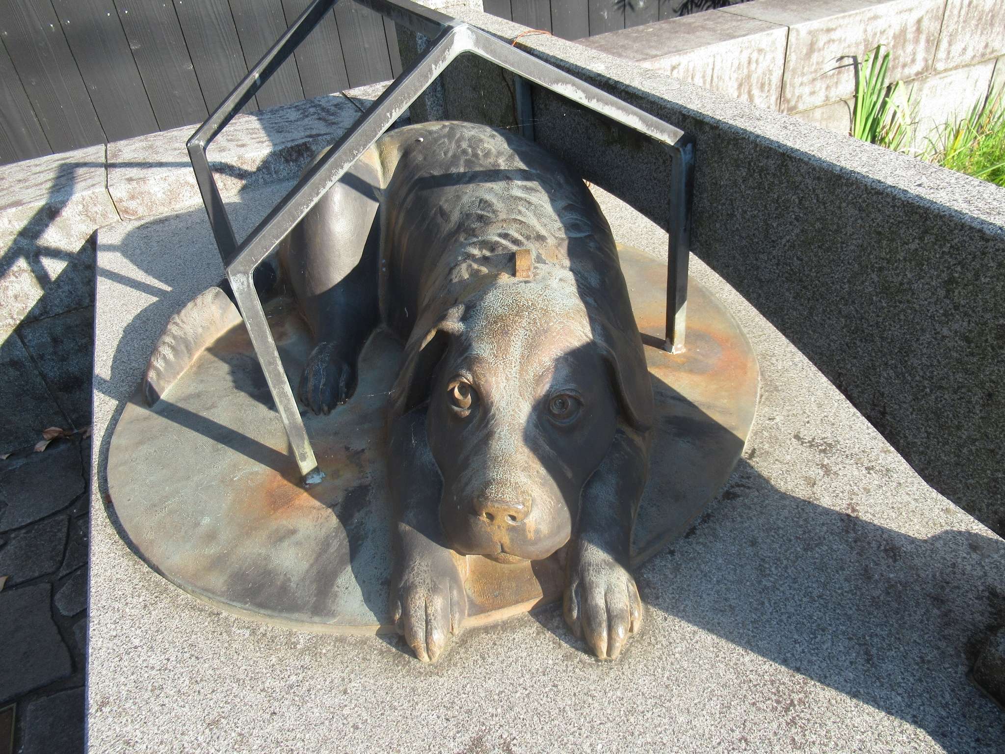 ひとまちいぬ@打吹公園通り