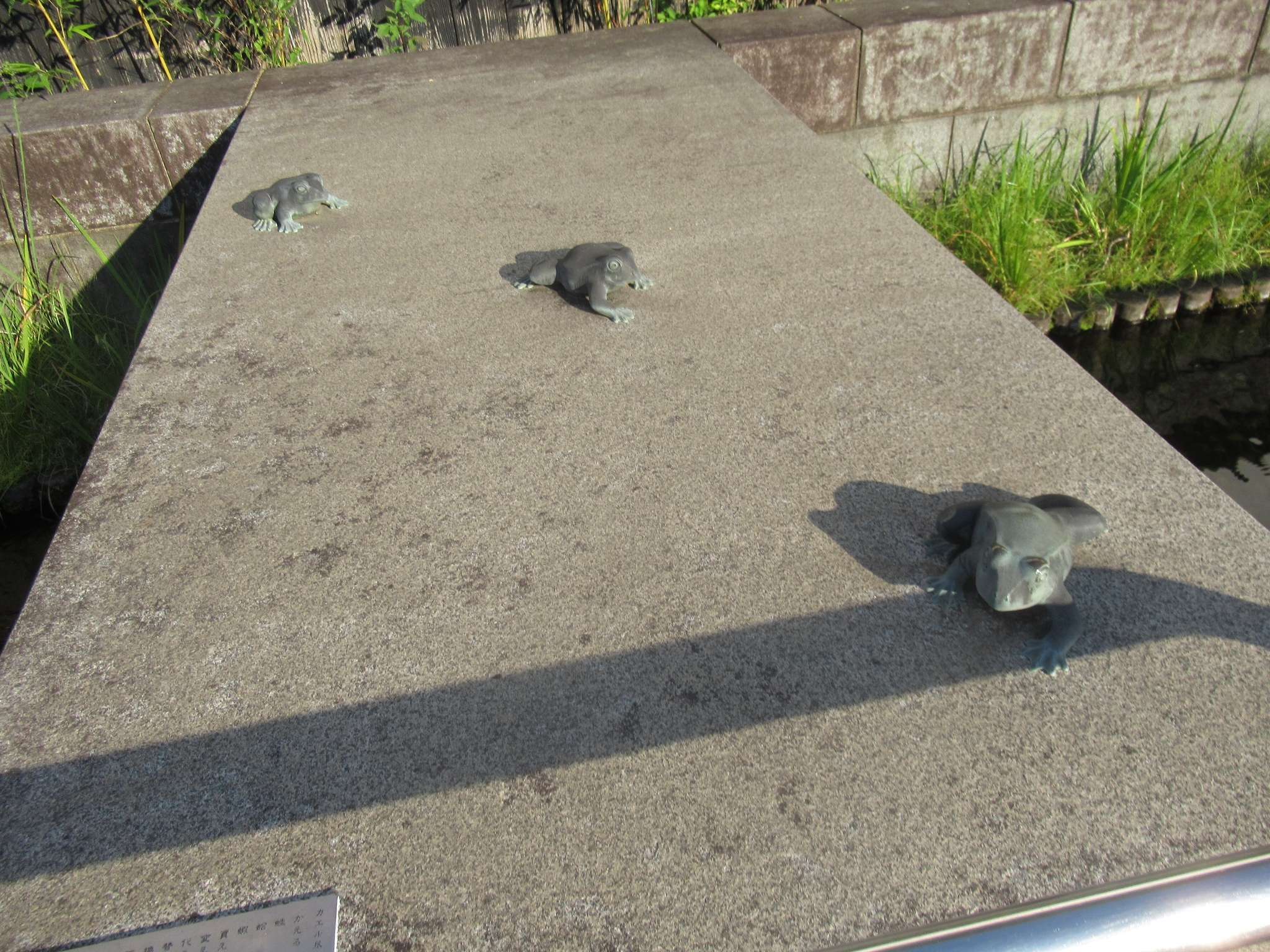 かえる三態@打吹公園通り