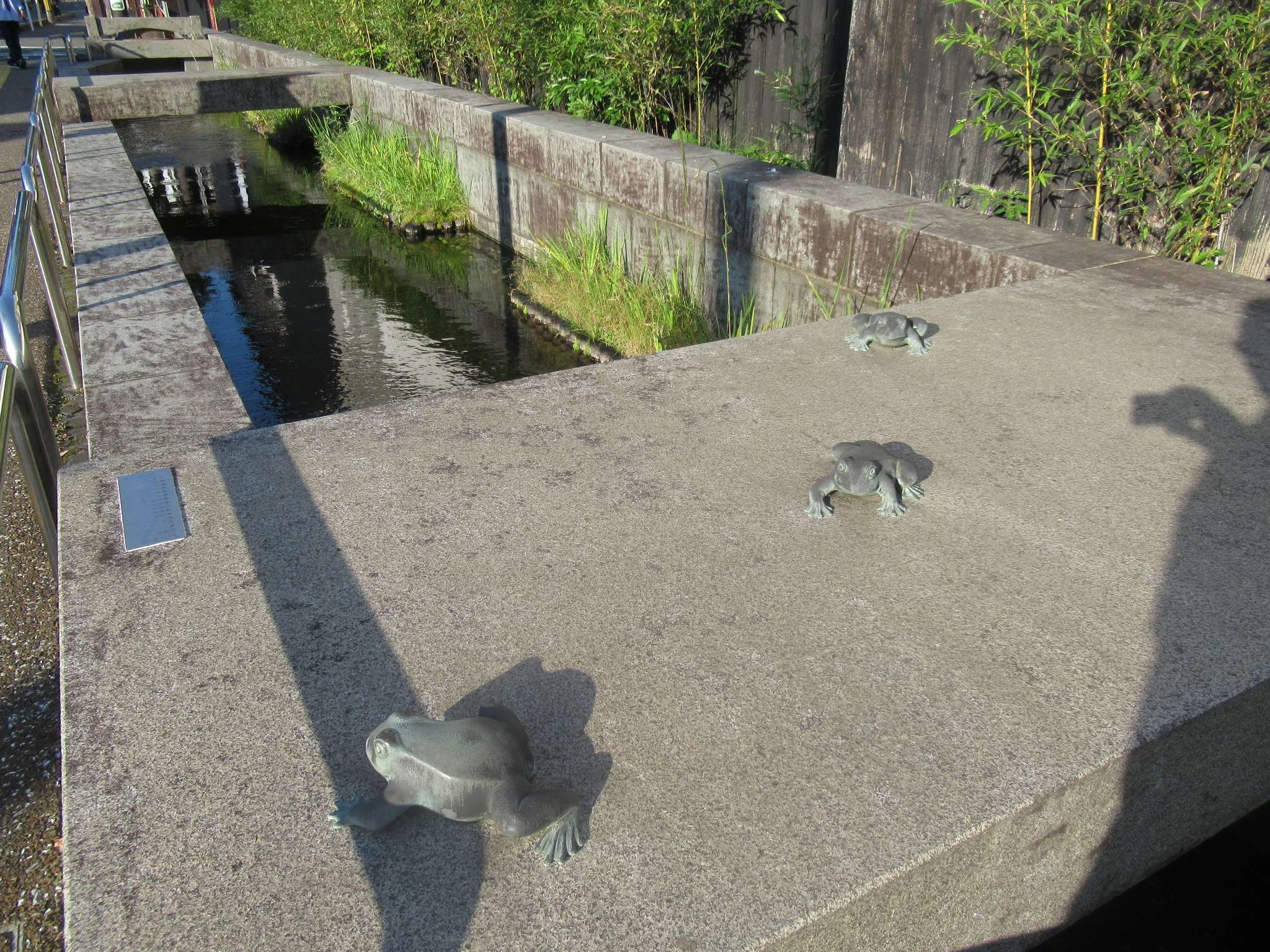 かえる三態@打吹公園通り