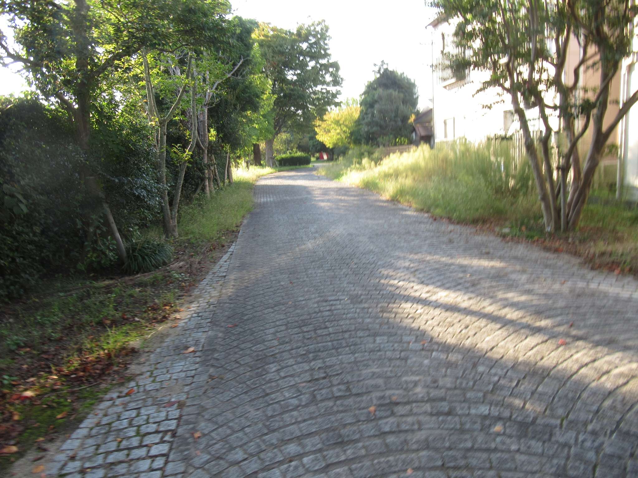 時空@倉吉線廃線跡