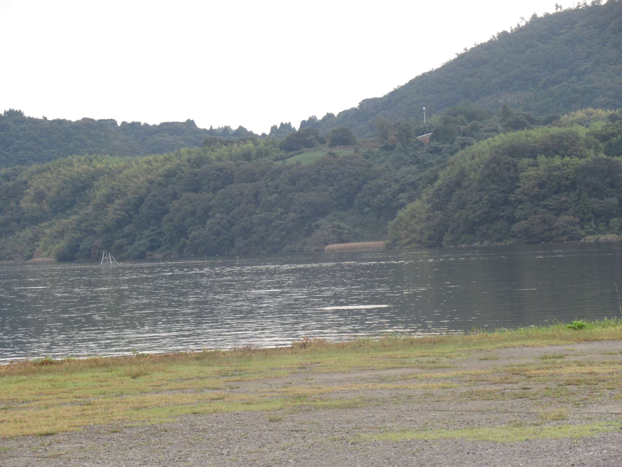 ポケフタ@はわい温泉