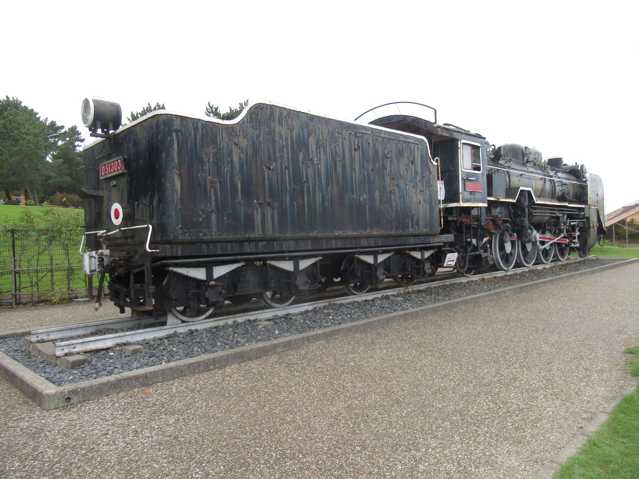 D51303号機@鳥取砂丘こどもの国