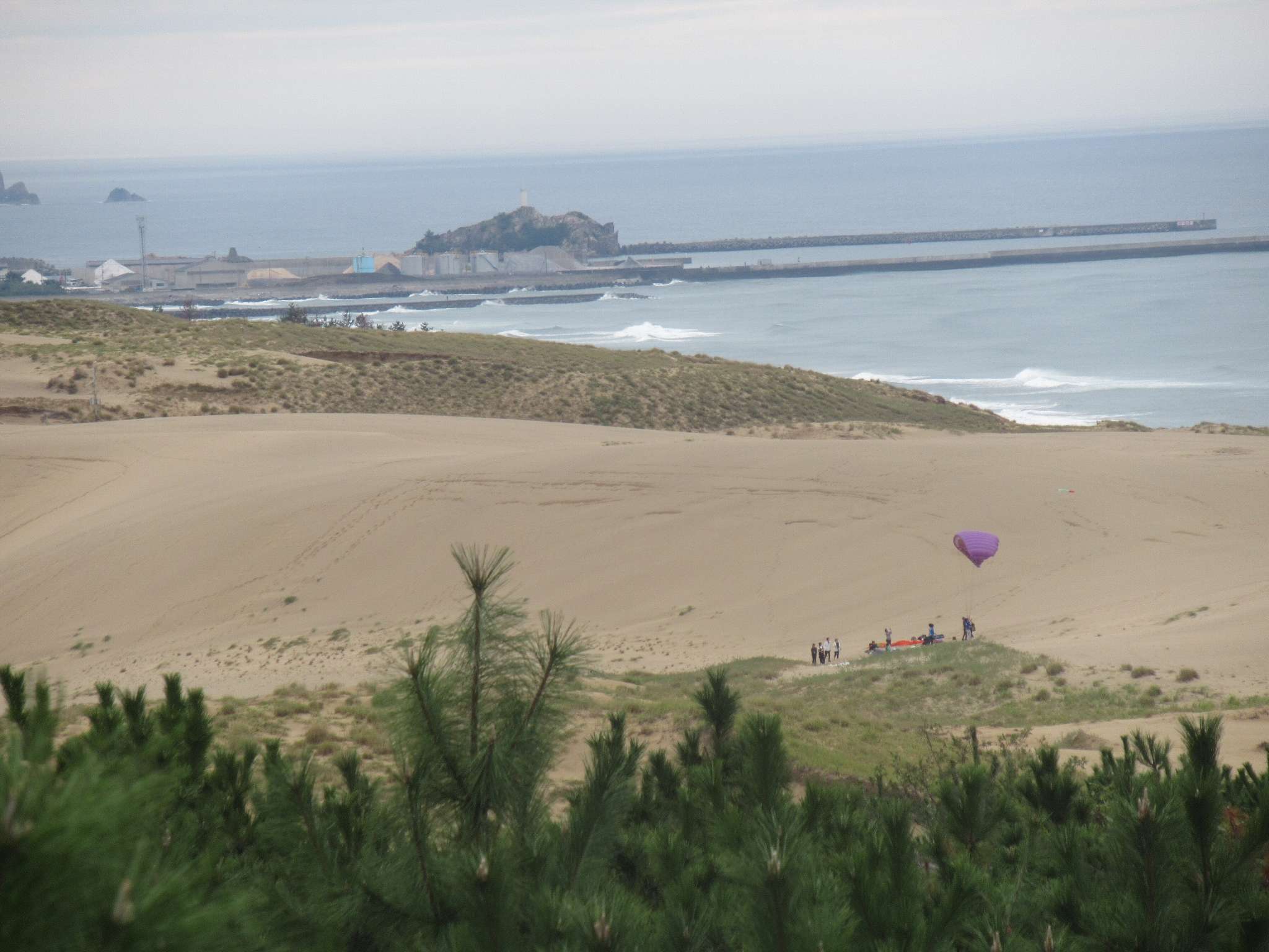 鳥取砂丘(鳥取市)