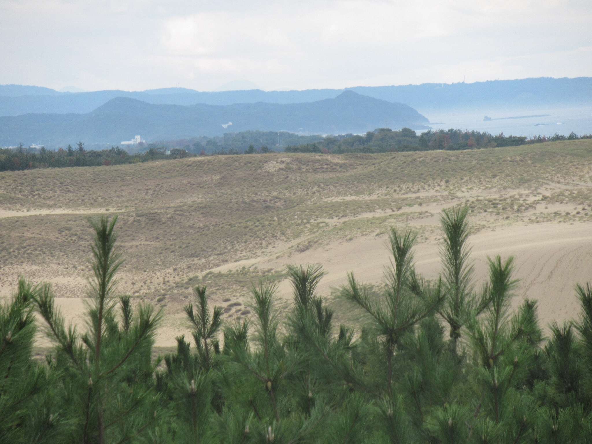 鳥取砂丘(鳥取市)