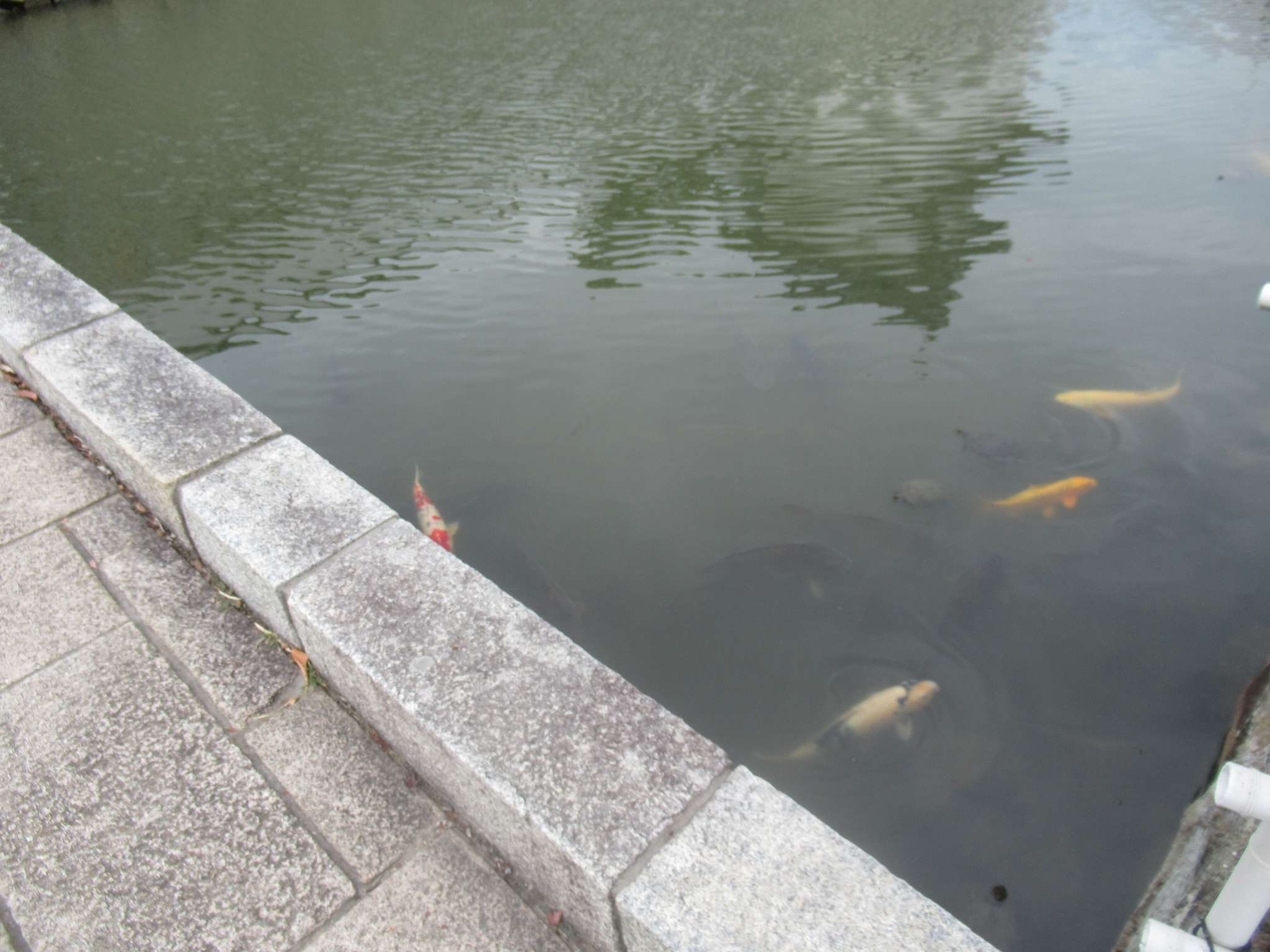 赤穂城跡(赤穂市)