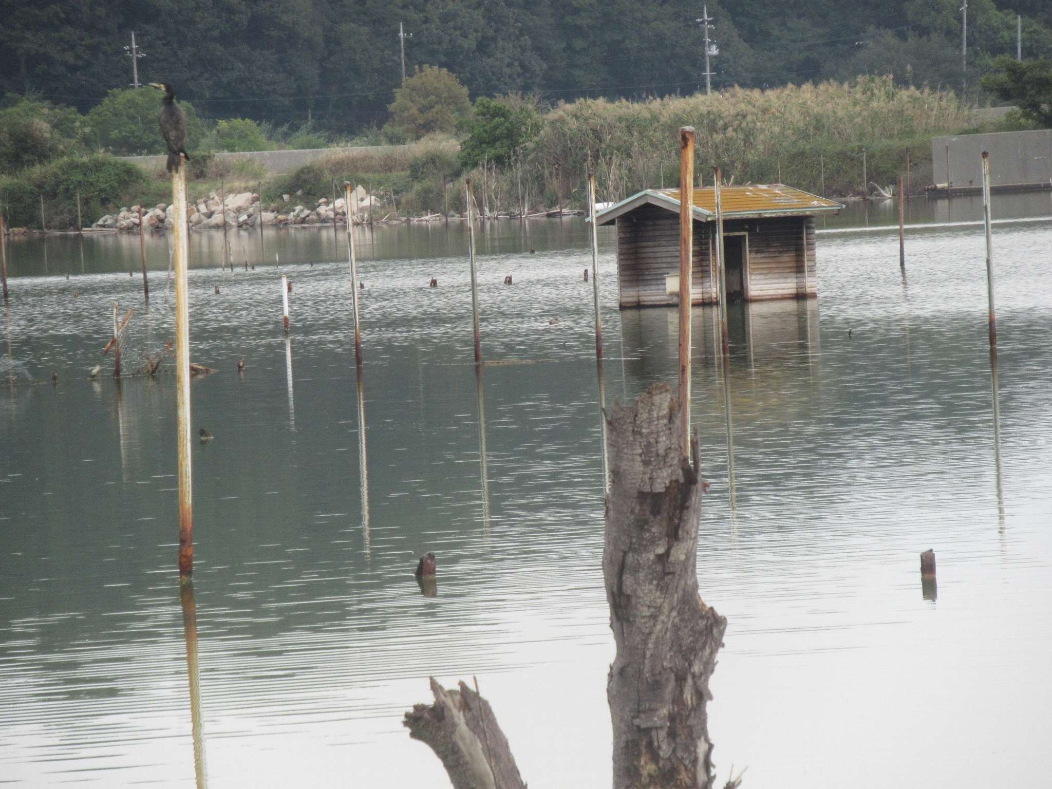 水没ペンション村(瀬戸内市)