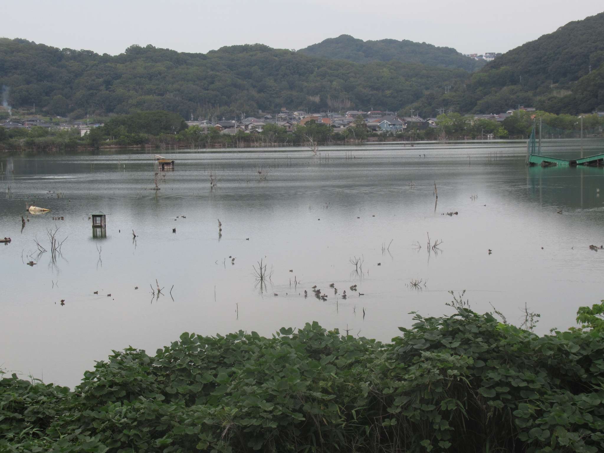 水没ペンション村(瀬戸内市)
