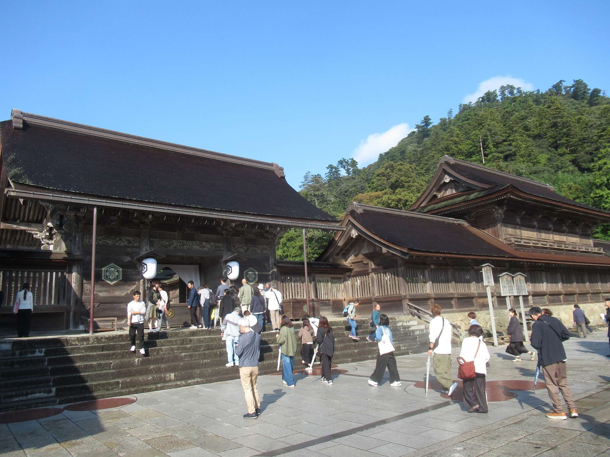 出雲大社(出雲市)