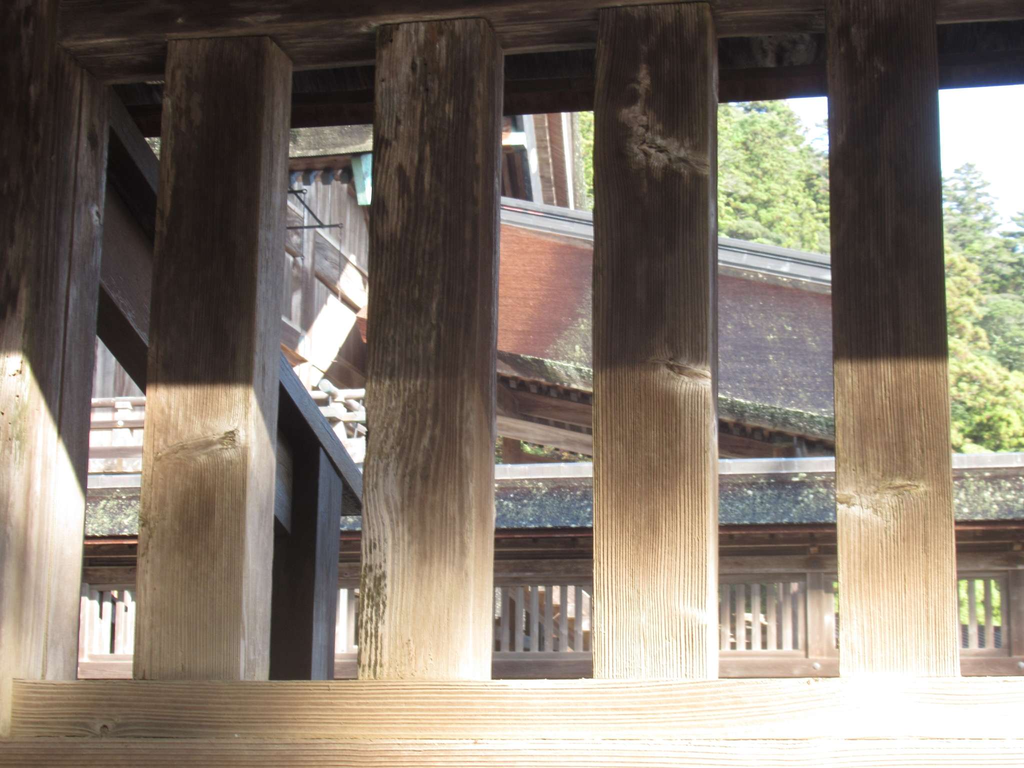 出雲大社(出雲市)