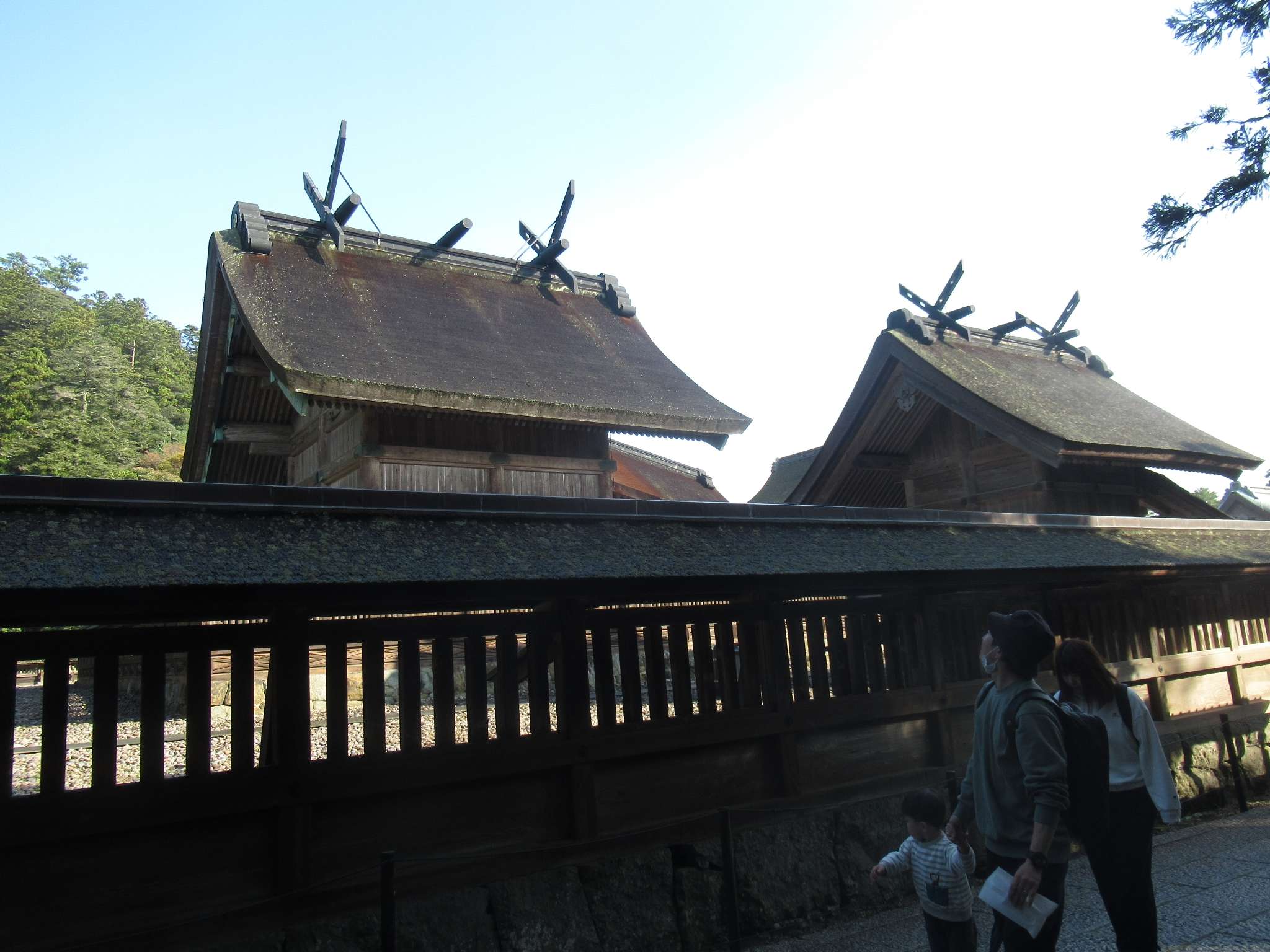 出雲大社(出雲市)