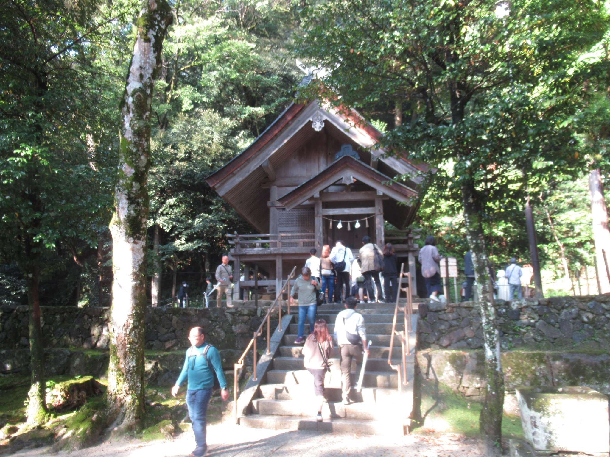 出雲大社(出雲市)